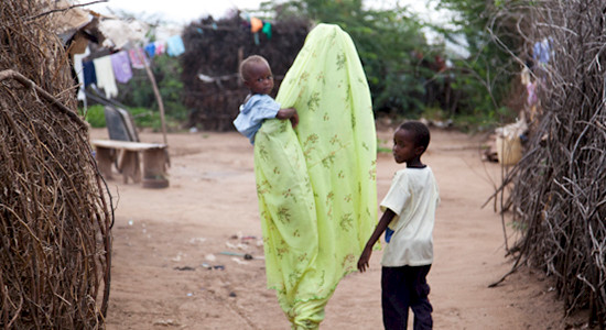 Sasha Chanoff Image 1