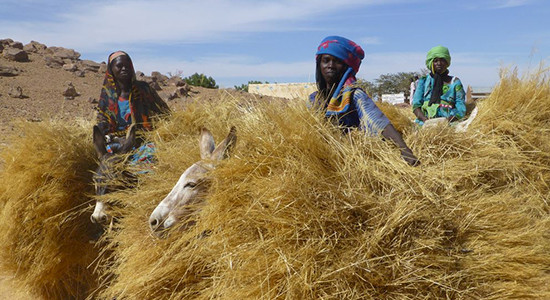 Rachel Andres Image 2